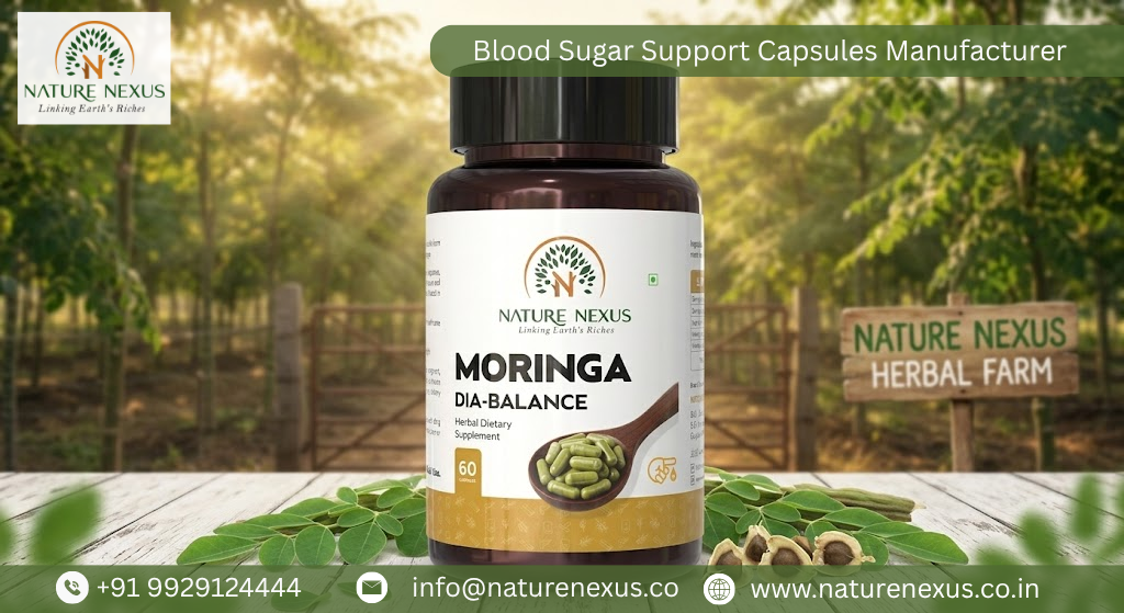 Blood Sugar Support Capsules Manufacturer
